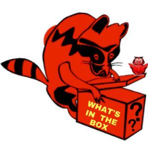 Red & Black Racoon opoening box