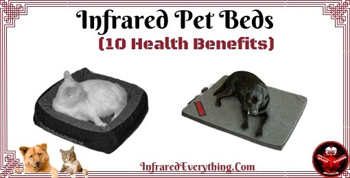 Dog & Cat Bed