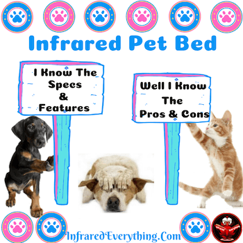 Puppy & Kitten holding signs advertising pet beds