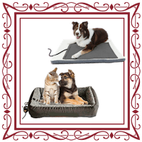 Dogs & Cats On Their Beds